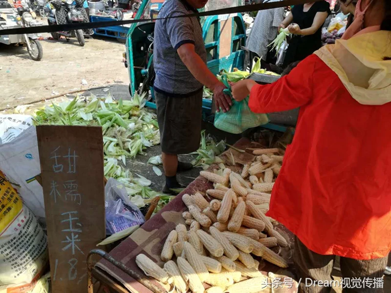 农村大叔集市上卖甜玉米,1.8元一斤比水果贵,但一天却能卖800斤