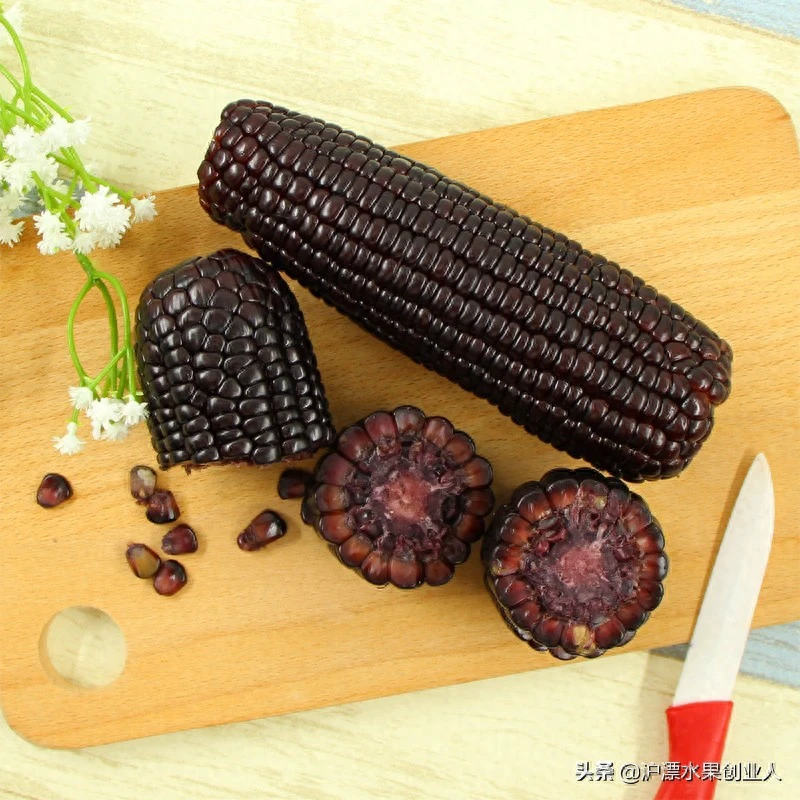都乐黑糯玉米彩糯玉米
