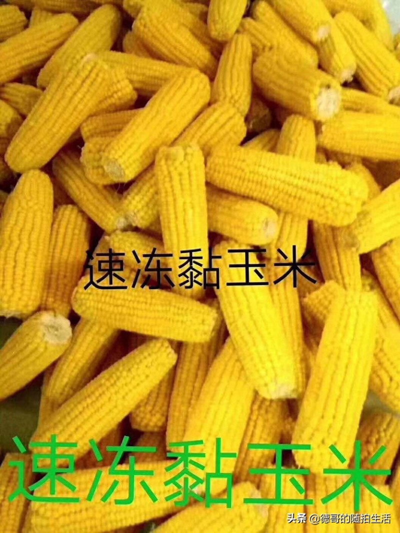 甜粘玉米，东北产地