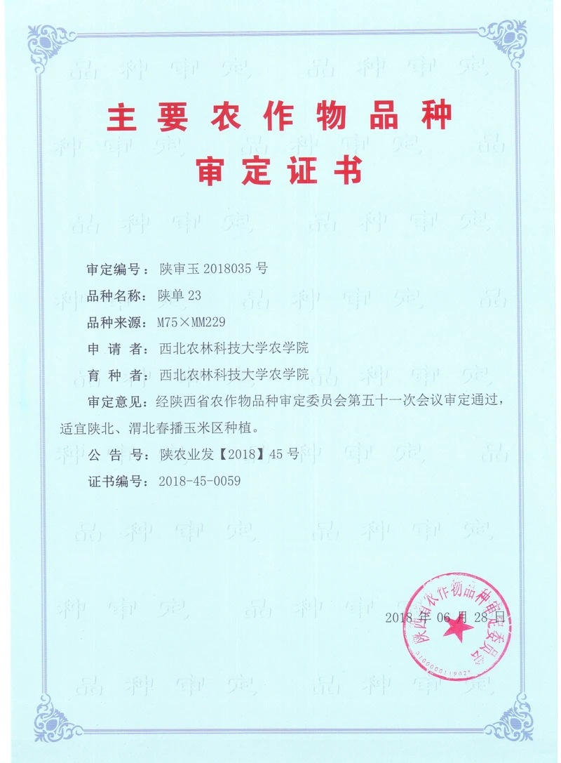 13个玉米新品种!产量高不高?抗不抗病?多图详解,农民早知道