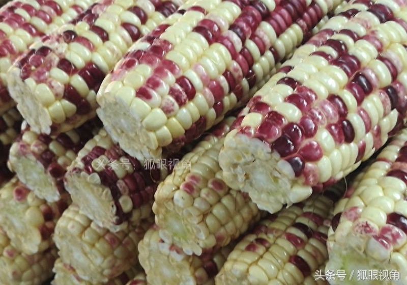 彩色玉米、黄色玉米和白色玉米,到底哪个营养价值好?