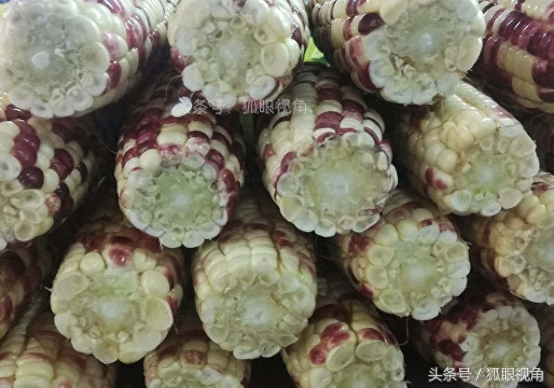 彩色玉米、黄色玉米和白色玉米,到底哪个营养价值好?