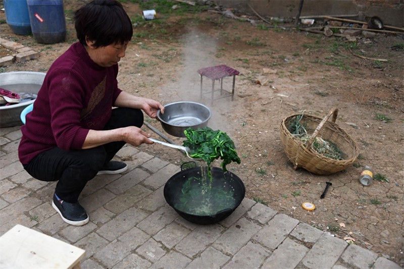 油菜叶子也能吃?河南农村大妈用它来炒菜,配上玉米糁粥很好吃