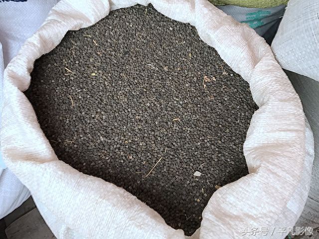 装个枕芯要多少钱?批发市场常见的荞麦壳等材料都是6元1斤