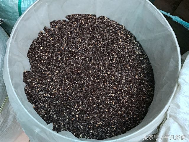 装个枕芯要多少钱?批发市场常见的荞麦壳等材料都是6元1斤