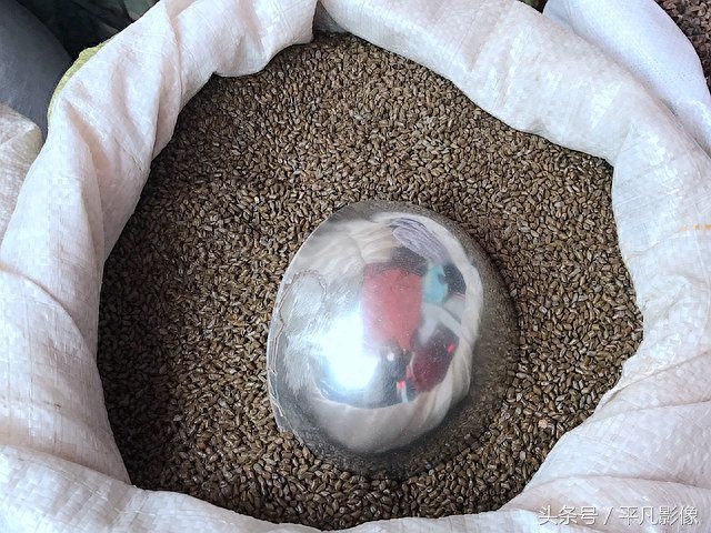 装个枕芯要多少钱?批发市场常见的荞麦壳等材料都是6元1斤