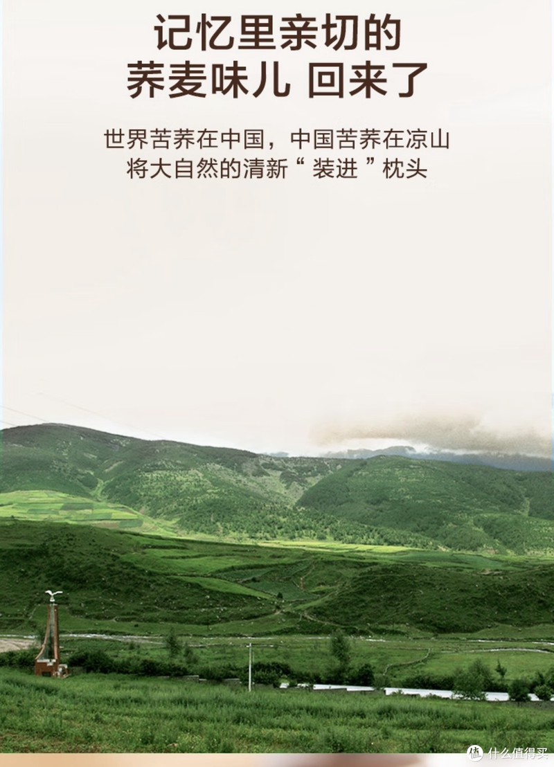 京东京造经典荞麦枕:深度解析与体验分享