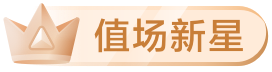 值场新星