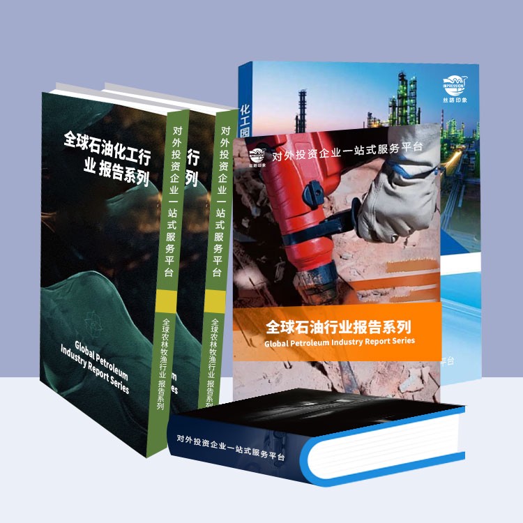 2025-2030年中国加油站厂建设可行性分析报告(上中下三卷)