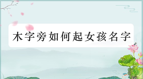 木字旁如何起女孩名字