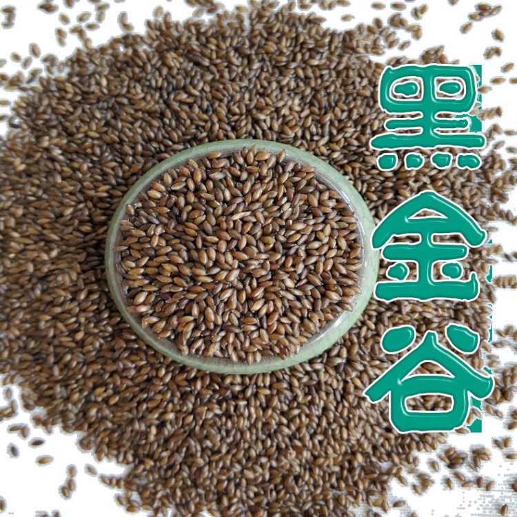 血钻野燕麦 血钻野燕麦正品