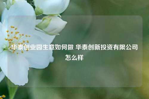 华泰创业园生意如何做 华泰创新投资有限公司怎么样