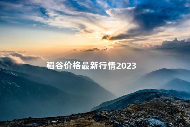 稻谷价格最新行情2023