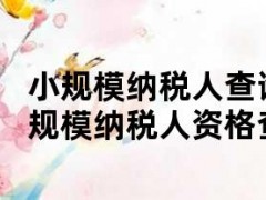 小规模纳税人查询系统（全国企业小规模纳税人资格查询）