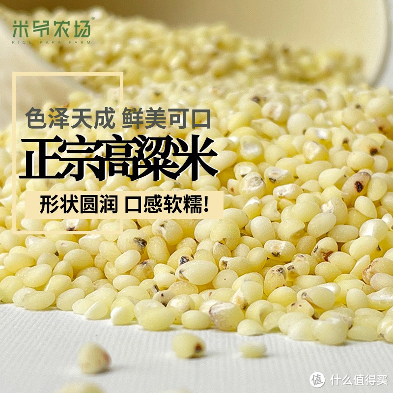 高粱米:营养丰富的健康之选