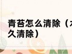 青苔怎么清除（水泥地面青苔怎么永久清除）