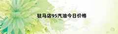 驻马店95汽油今日价格