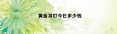 黄金耳钉今日多少钱