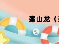 峯山龙（峯山龙套装）