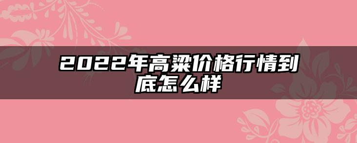 2022年高粱价格行情到底怎么样