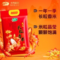 SHI YUE DAO TIAN 十月稻田 辽河长粒香大米5kgx4袋