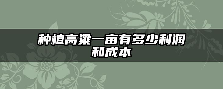 种植高粱一亩有多少利润和成本