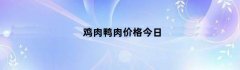 鸡肉鸭肉价格今日