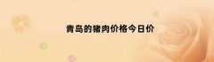 青岛的猪肉价格今日价
