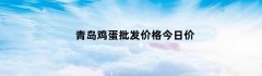 青岛鸡蛋批发价格今日价