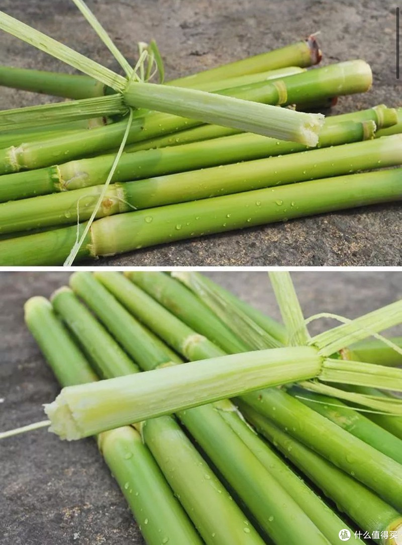 尝鲜!从小就喜欢吃这个,夏天的味道,甜芦粟来袭~