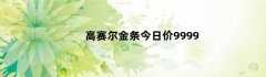 高赛尔金条今日价9999