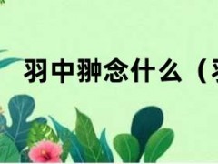 羽中翀念什么（羽中这个字怎么念）