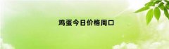 鸡蛋今日价格周口