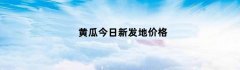 黄瓜今日新发地价格