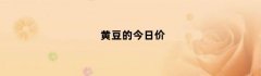黄豆的今日价