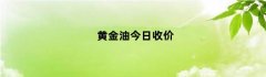 黄金油今日收价