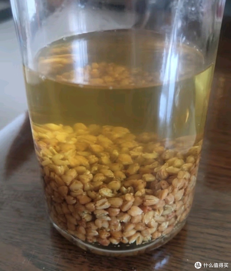 四川大凉山特产!艺佰黑苦荞茶,1100克全颗粒胚芽,养生必备!