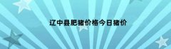 辽中县肥猪价格今日猪价