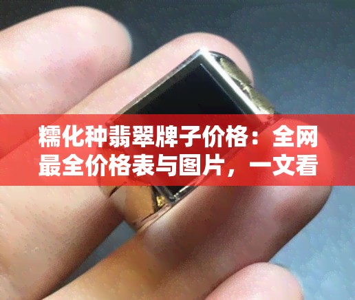 糯化种翡翠牌子价格：全网最全价格表与图片，一文看懂