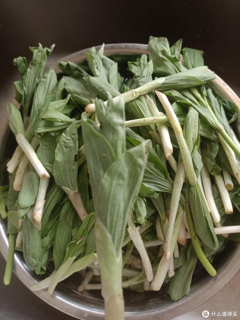 东北人都喜欢的野生山菜