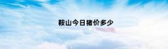 鞍山今日猪价多少