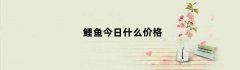 鲤鱼今日什么价格