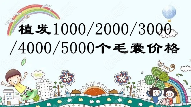 植发3000个毛囊价格