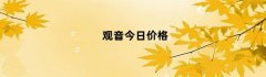 观音今日价格
