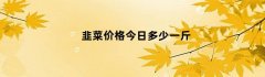 韭菜价格今日多少一斤