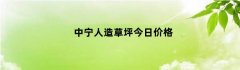 中宁人造草坪今日价格