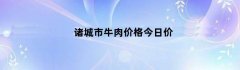诸城市牛肉价格今日价