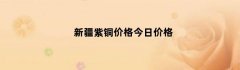 新疆紫铜价格今日价格（新疆铜的价格）