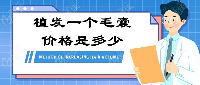 植发一个毛囊价格是多少