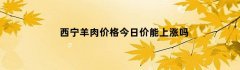 西宁羊肉价格今日价能上涨吗